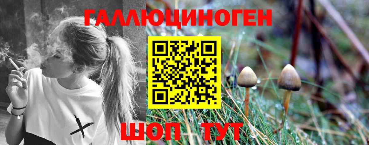 Галлюциногенные грибы мухоморы  Вход с VPN  Галлюциногенные грибы Psilocybe  Топки 